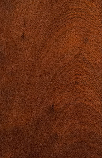 Detailansicht Maserung Mahogany-Holz